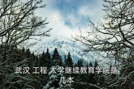  武漢 工程 大學(xué)繼續(xù)教育學(xué)院是 幾本