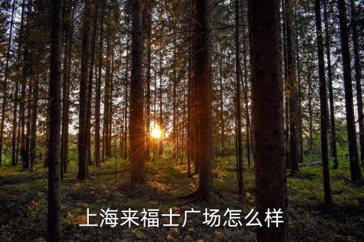 上海來福士廣場怎么樣