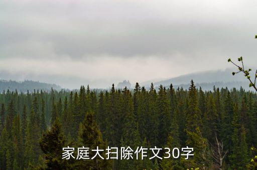 家庭大掃除，家庭大掃除作文288字