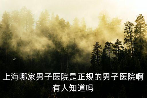 上海哪家男子醫院是正規的男子醫院啊有人知道嗎