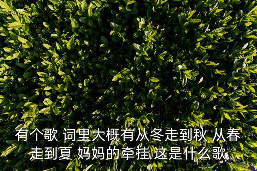有個歌 詞里大概有從冬走到秋 從春走到夏 媽媽的牽掛 這是什么歌