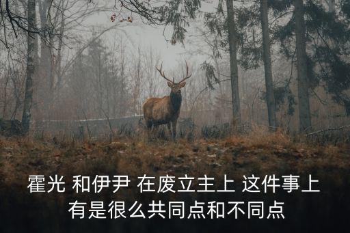 霍光 和伊尹 在廢立主上 這件事上 有是很么共同點和不同點