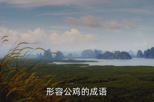 形容公雞的成語(yǔ)