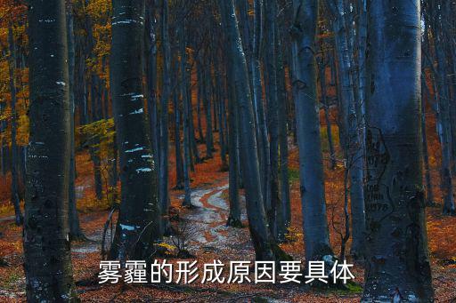 霧霾的形成原因要具體