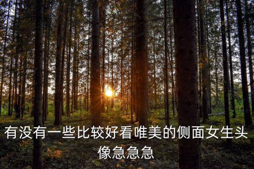 有沒有一些比較好看唯美的側(cè)面女生頭像急急急