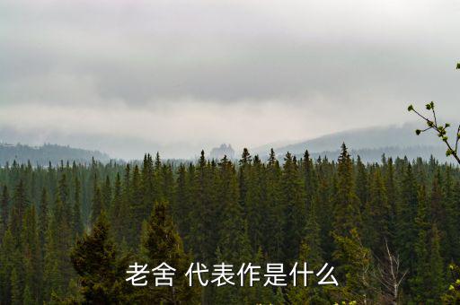  老舍 代表作是什么