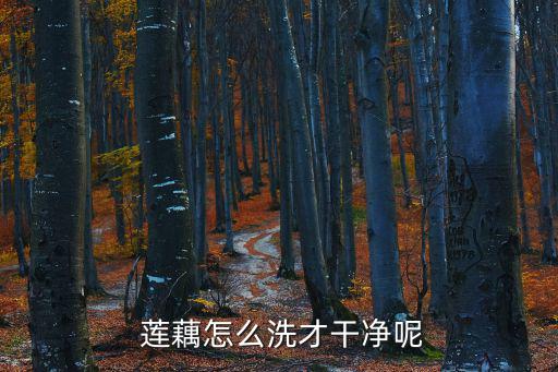 蓮藕怎么洗,荷蘭蓮藕怎么洗?一文看懂