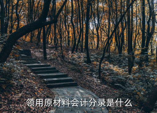 領用,原材料領用的會計分錄如何?