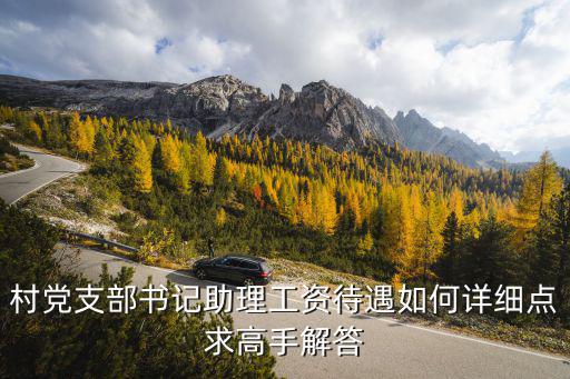 村黨支部書記助理工資待遇如何詳細(xì)點(diǎn)求高手解答