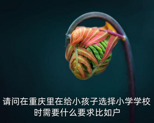 請問在重慶里在給小孩子選擇小學學校時需要什么要求比如戶