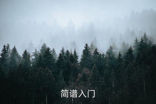 簡(jiǎn)譜入門