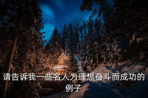 請告訴我一些名人為理想奮斗而成功的例子