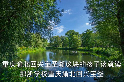 重慶渝北回興寶圣湖這塊的孩子該就讀那所學校重慶渝北回興寶圣