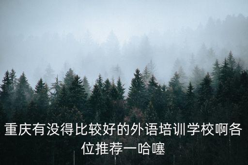 重慶有沒得比較好的外語培訓(xùn)學(xué)校啊各位推薦一哈噻