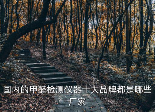 國內(nèi)的甲醛檢測儀器十大品牌都是哪些廠家