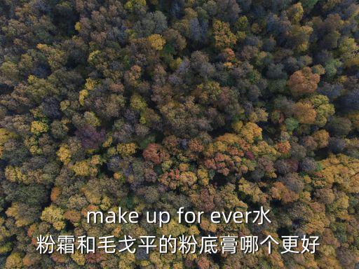 make up for ever水粉霜和毛戈平的粉底膏哪個更好