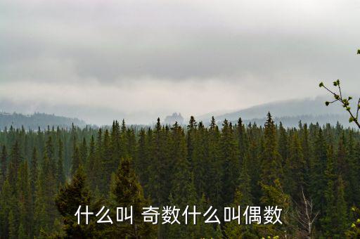 什么叫 奇數什么叫偶數