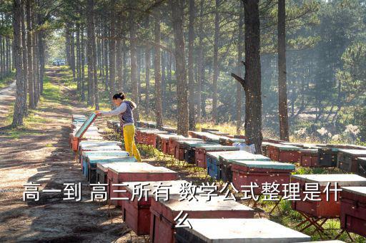 高一到 高三所有 數(shù)學公式整理是什么