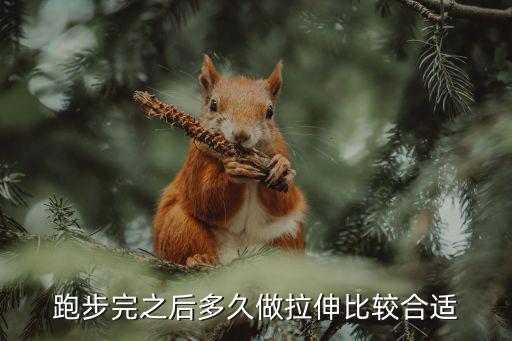 跑后拉伸，為什么跑步一定要做拉伸