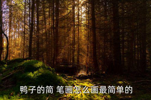  鴨子的簡(jiǎn) 筆畫怎么畫最簡(jiǎn)單的