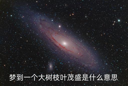夢到一個大樹枝葉茂盛是什么意思