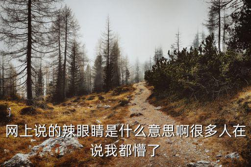 網上說的辣眼睛是什么意思啊很多人在說我都懵了