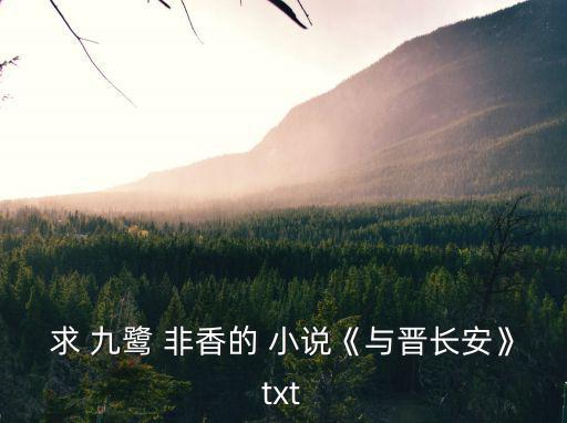 求 九鷺 非香的 小說(shuō)《與晉長(zhǎng)安》txt
