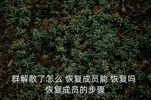 群解散了怎么 恢復成員能 恢復嗎 恢復成員的步驟