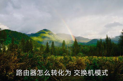  路由器怎么轉(zhuǎn)化為 交換機模式