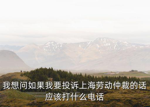 我想問如果我要投訴上海勞動仲裁的話應該打什么電話
