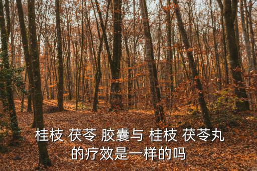  桂枝 茯苓 膠囊與 桂枝 茯苓丸的療效是一樣的嗎