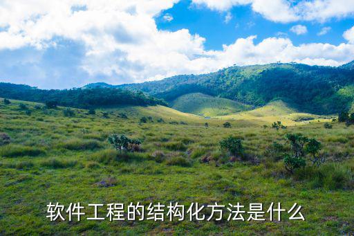 軟件工程的結(jié)構(gòu)化方法是什么
