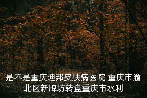 是不是重慶迪邦皮膚病醫院 重慶市渝北區新牌坊轉盤重慶市水利
