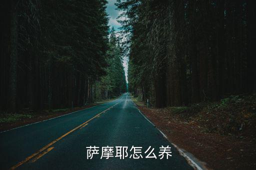 薩摩耶怎么訓練,薩摩對，很好養(yǎng)!訓練重點是懲罰與誘導