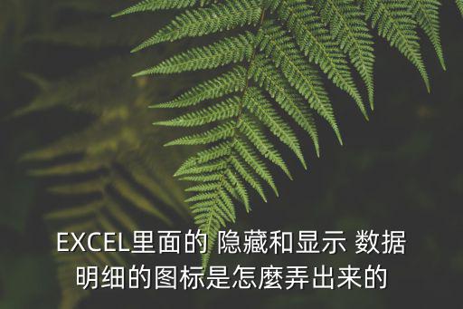 EXCEL里面的 隱藏和顯示 數據明細的圖標是怎麼弄出來的