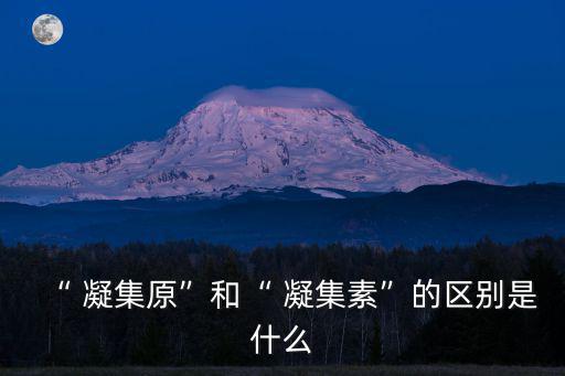 凝集,血凝集抗原附著在紅細胞表面叫凝集original