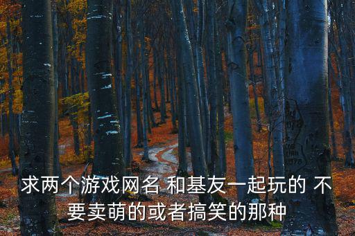 求兩個(gè)游戲網(wǎng)名 和基友一起玩的 不要賣萌的或者搞笑的那種