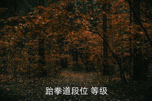  跆拳道段位 等級