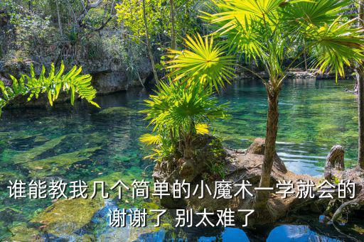 誰能教我?guī)讉€簡單的小魔術一學就會的謝謝了 別太難了