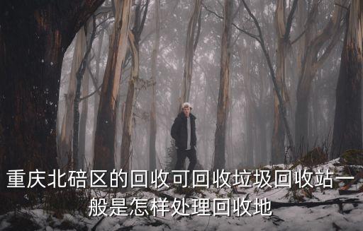 重慶北碚區的回收可回收垃圾回收站一般是怎樣處理回收地