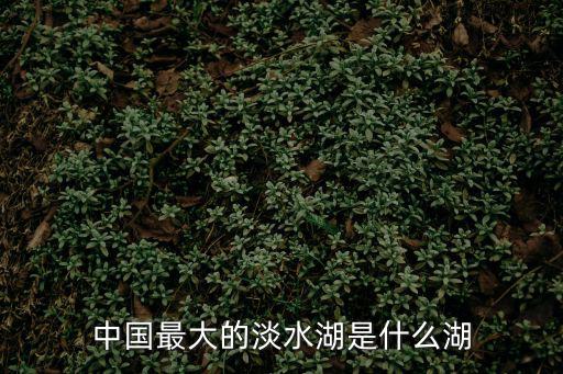 中國最大的淡水湖是什么湖