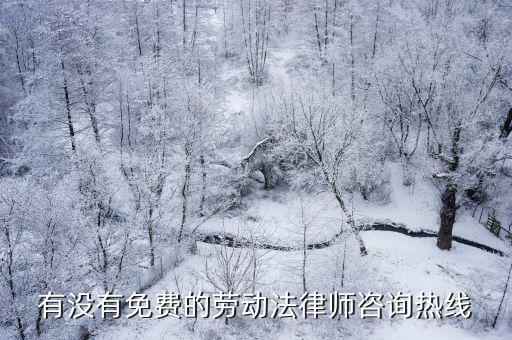 拖欠工資免費律師咨詢，被拖欠工資可以在律正上面咨詢律師不
