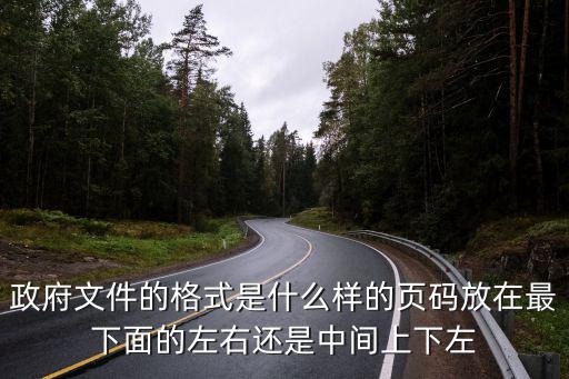 政府文件的格式是什么樣的頁碼放在最下面的左右還是中間上下左