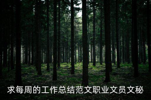 求每周的工作總結(jié)范文職業(yè)文員文秘