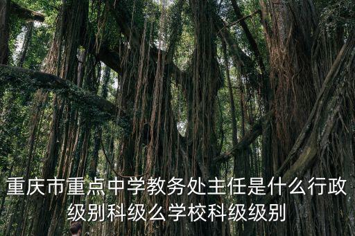 重慶市重點中學教務(wù)處主任是什么行政級別科級么學校科級級別