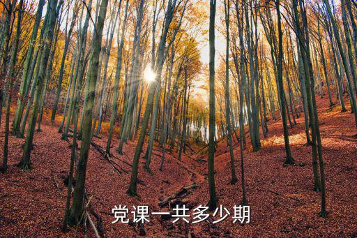  黨課一共多少期