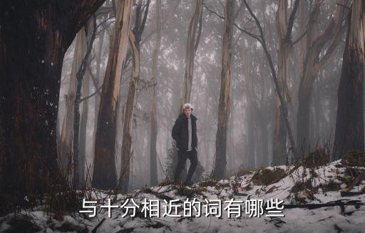 與十分相近的詞有哪些