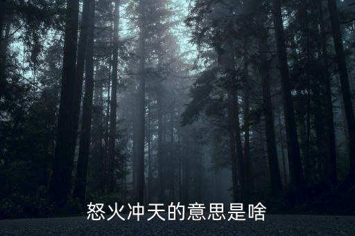 發(fā)指眥裂,我頭發(fā)豎起來了眼睛都要裂開了