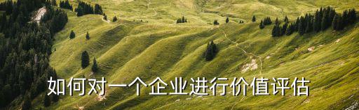 如何對一個企業(yè)進行價值評估