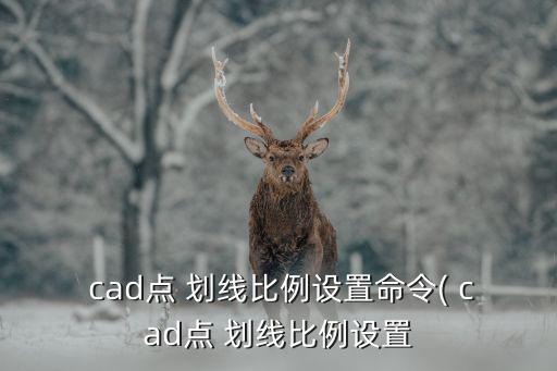  cad點(diǎn) 劃線比例設(shè)置命令( cad點(diǎn) 劃線比例設(shè)置